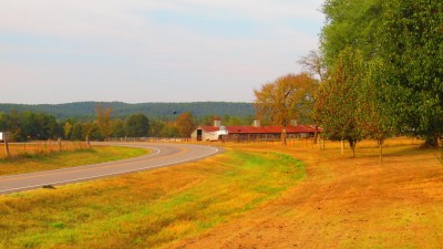 fall-road.jpg