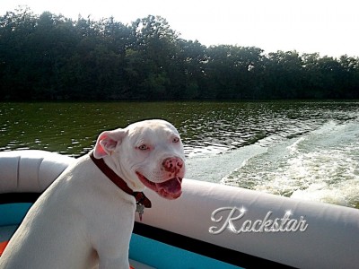 bruno.jpg (220.4 KiB) Viewed 13911 times bruno.jpg