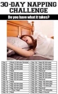 Nap Challenge.jpg