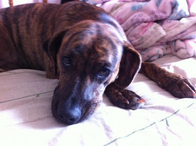 my baby 003.JPG (1.57 MiB) Viewed 13092 times my baby 003.JPG