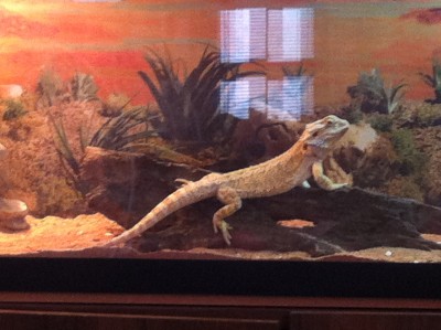 010.JPG (912.06 KiB) Viewed 13093 times 010.JPG