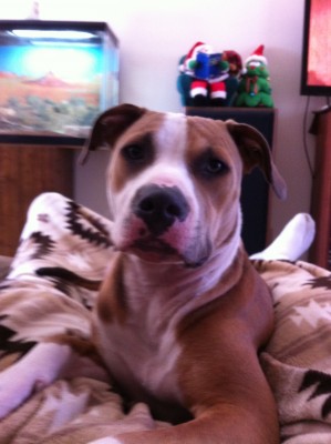 036.JPG (1.61 MiB) Viewed 13093 times 036.JPG