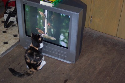 fl 002.JPG (514.04 KiB) Viewed 12879 times fl 002.JPG