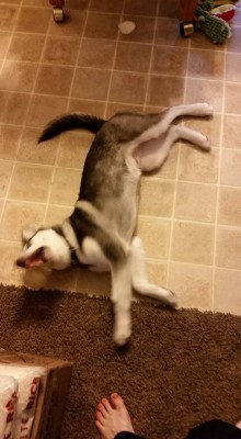 Why I gotta go to bed!!! Tantrums!
